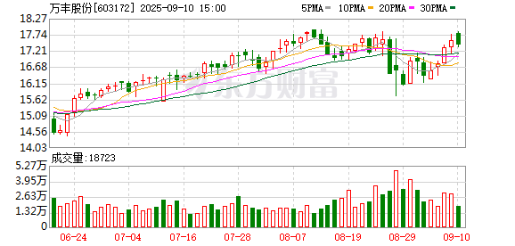 日斗配资 万丰股份：2025年上半年营收净利润双增